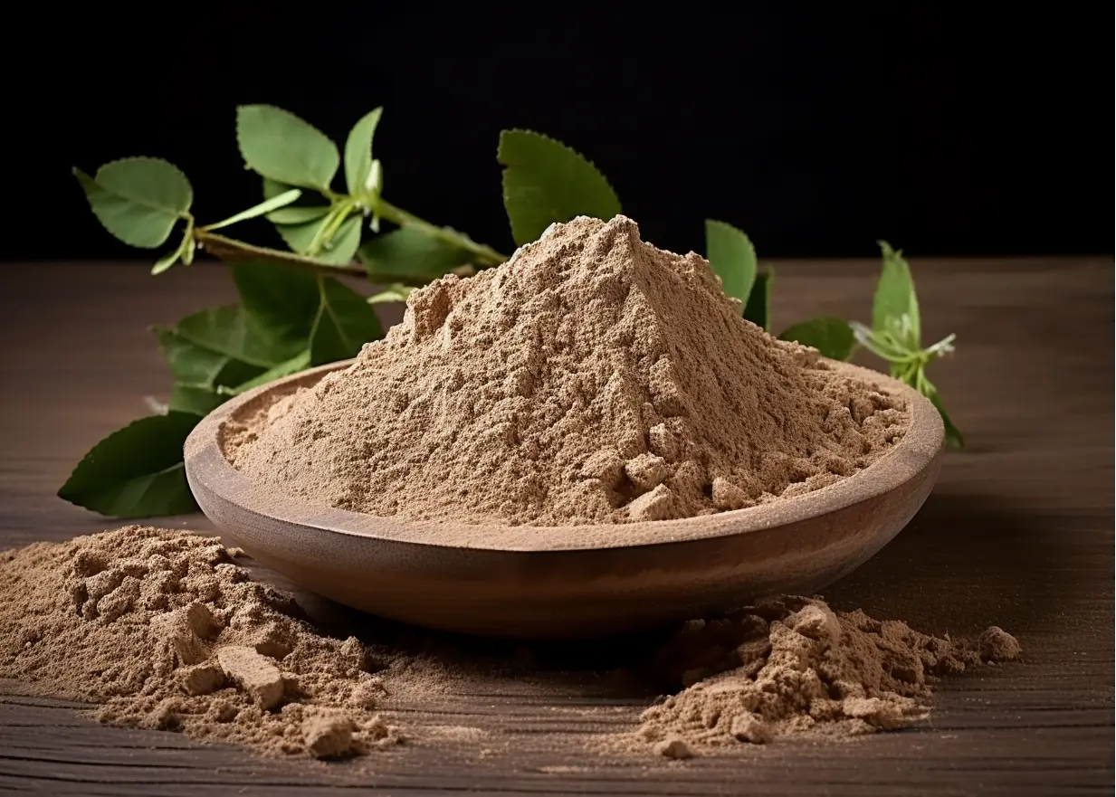 Bulk Valerian Root Powder Extract, Valeriana Officinalis Extract ...